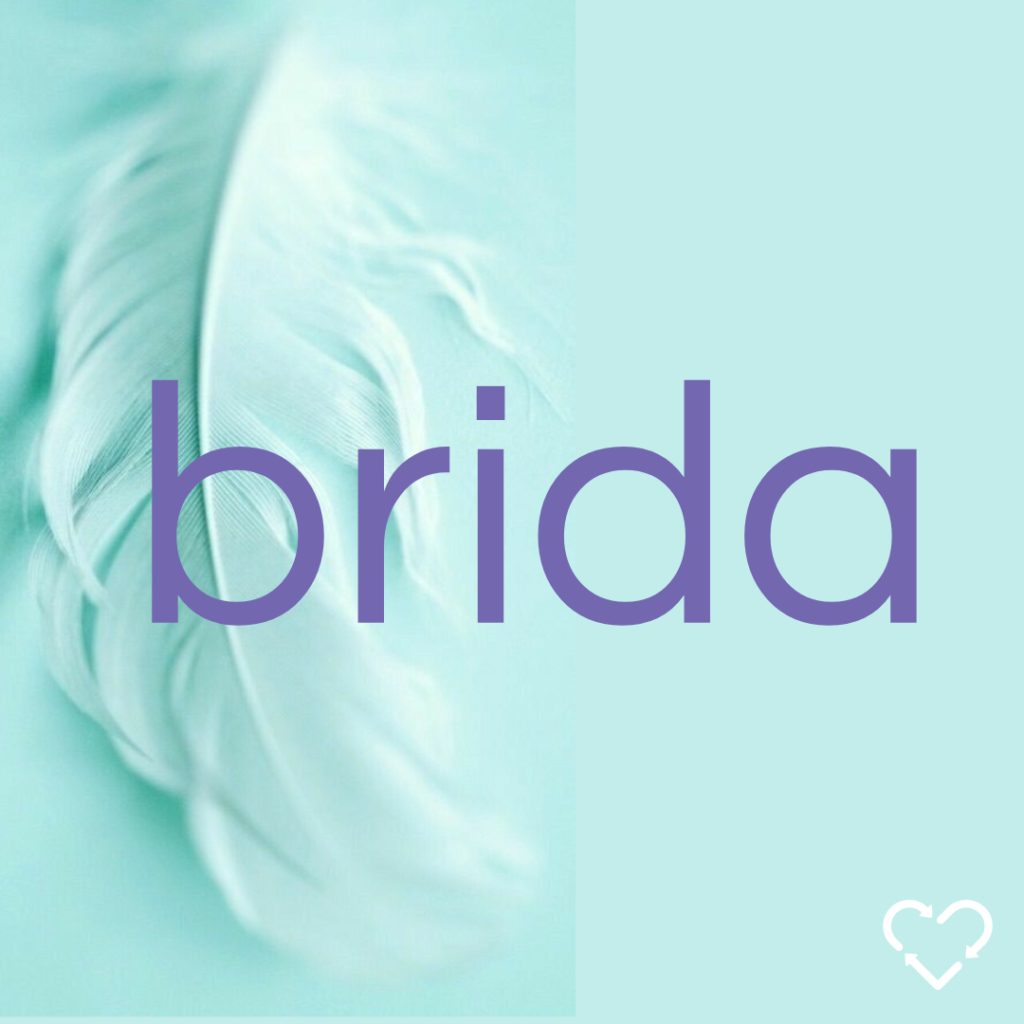 BRIDA
